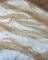 Champagne Pearl Tulle Fabric by the Yard, 60" Wide Soft Pearl Scattered Mesh